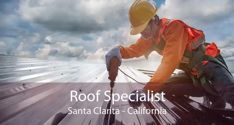 Roof Specialist Santa Clarita - California